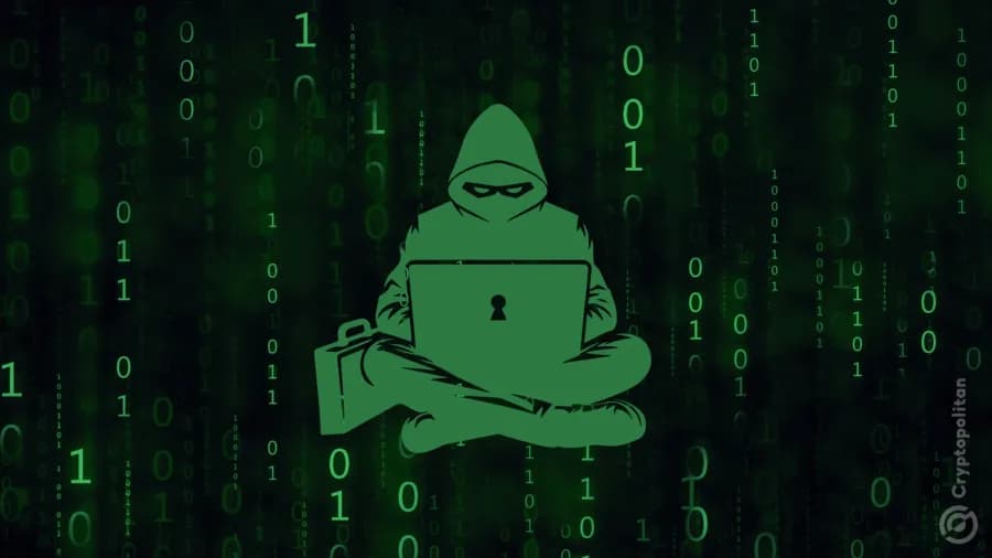 Yield Yak follows Gitcoin in latest wallet-drainer attack